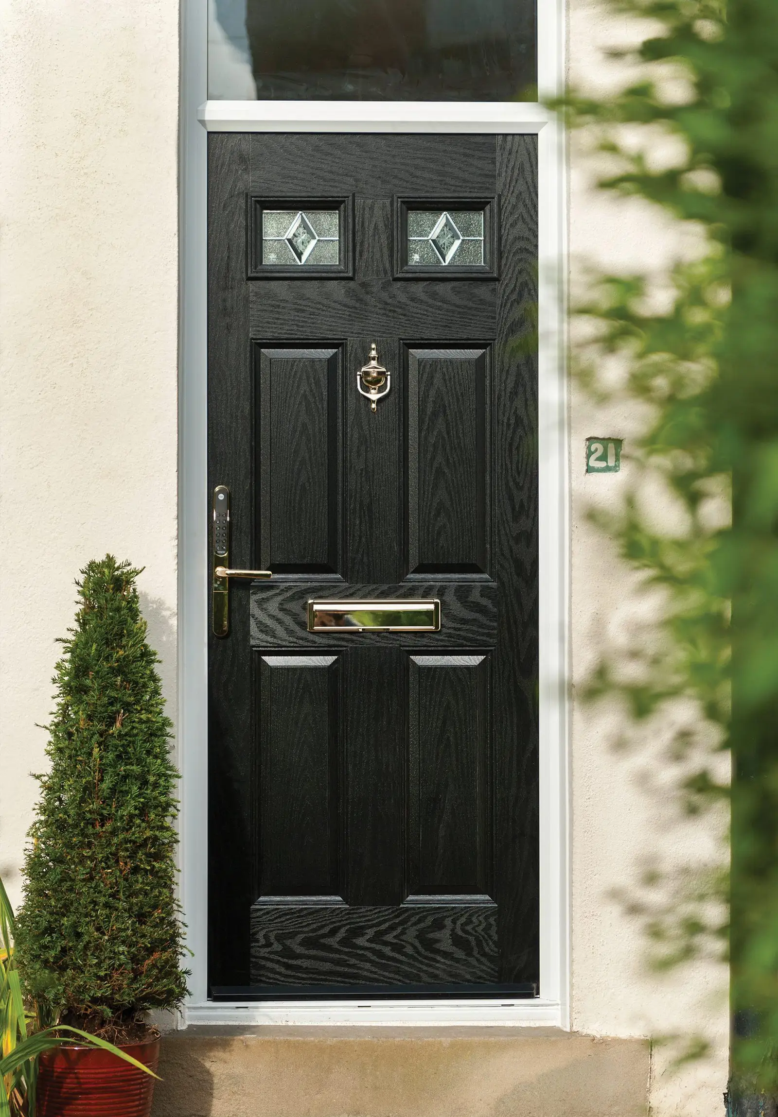 Elegant entrance door