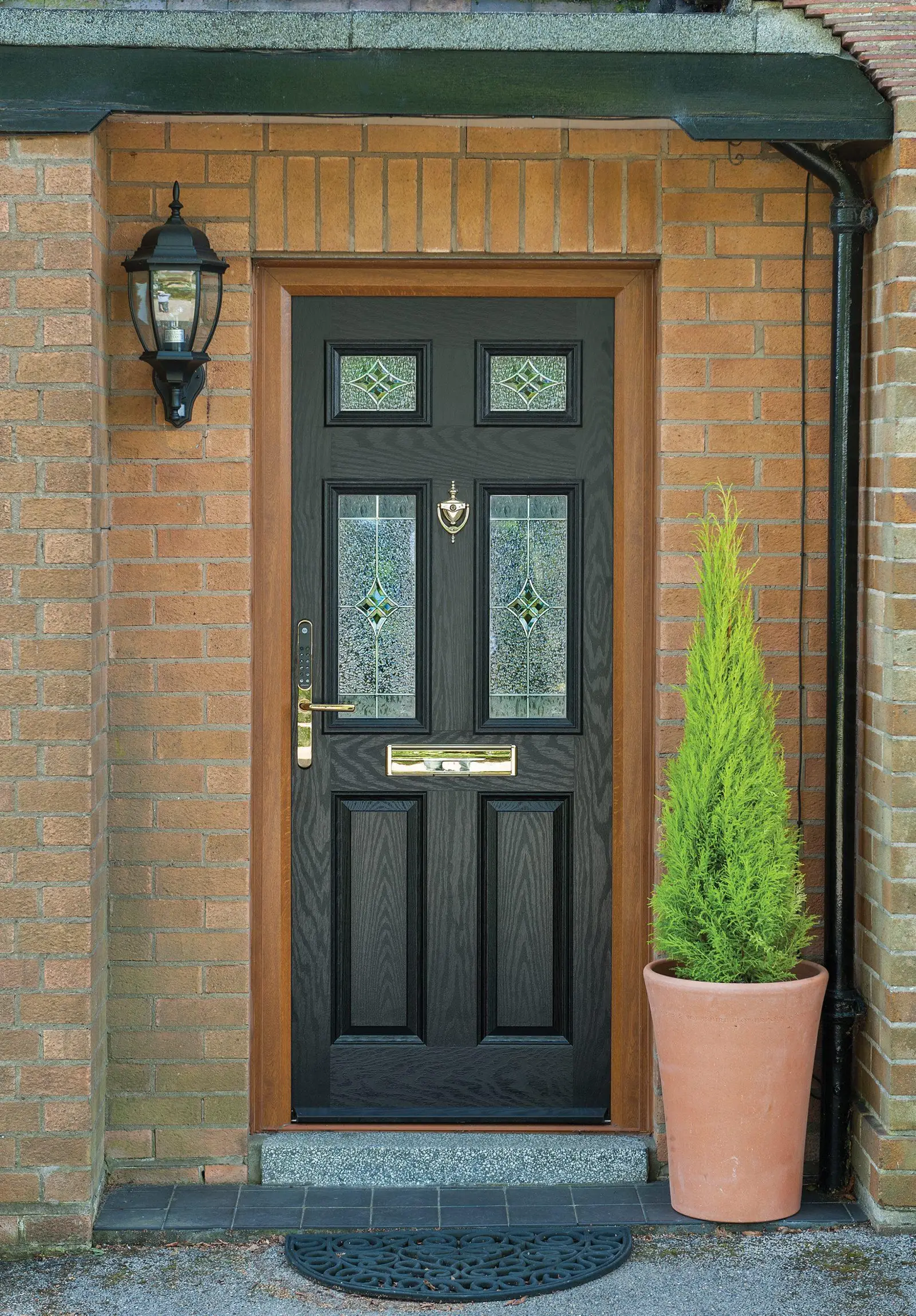 Modern door with side panels