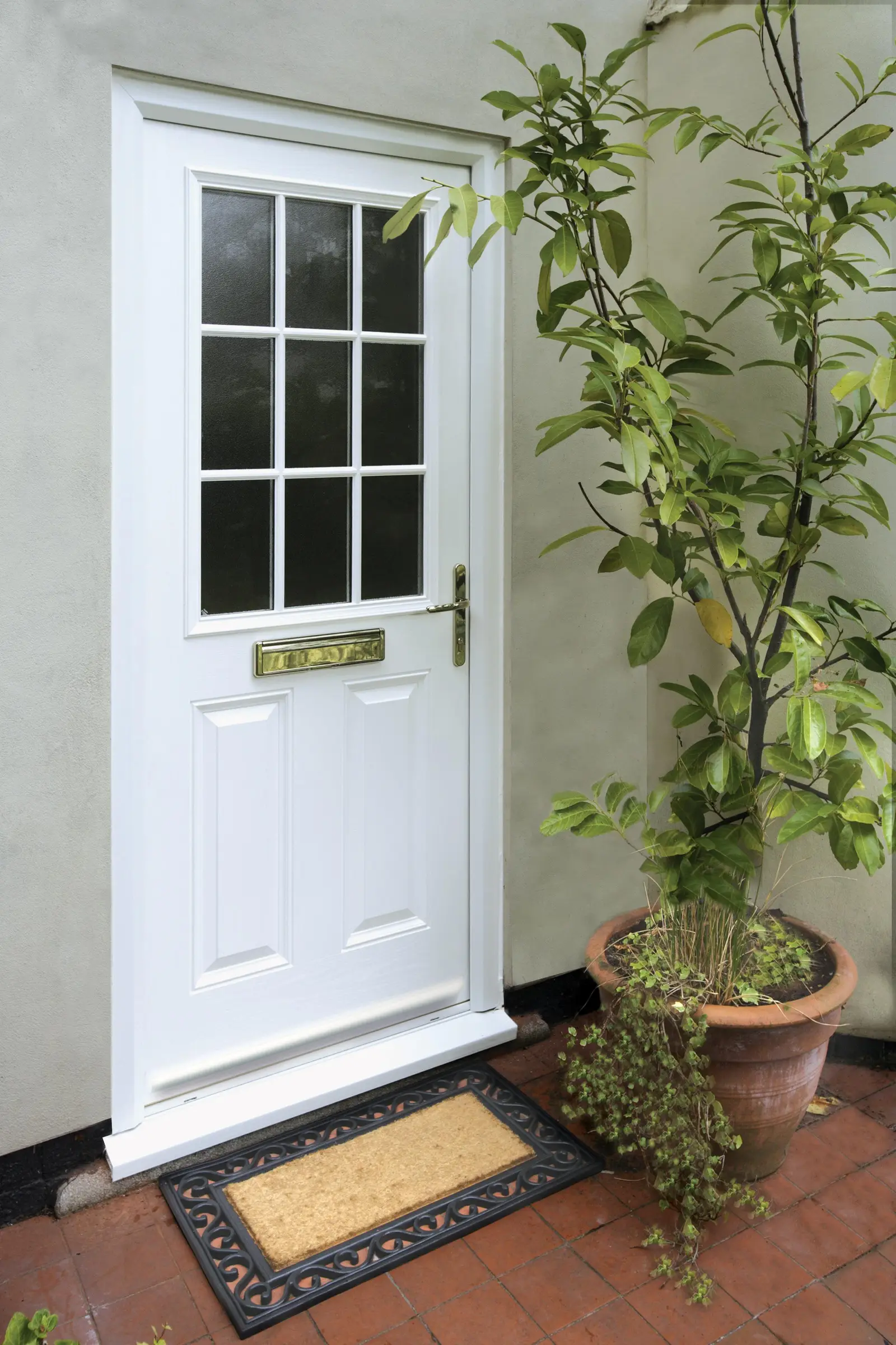White composite door with Georgian glazing beside potted plants